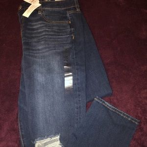 American eagle 360 degree next level stretch